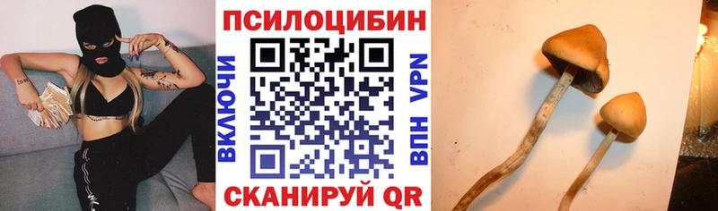 что такое наркотик  Екатеринбург  Галлюциногенные грибы мухоморы 